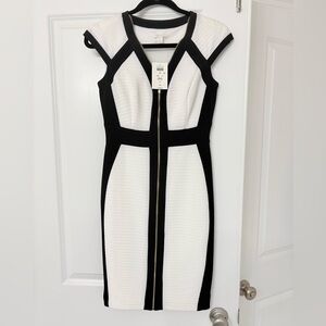 Cache Black and White Dress